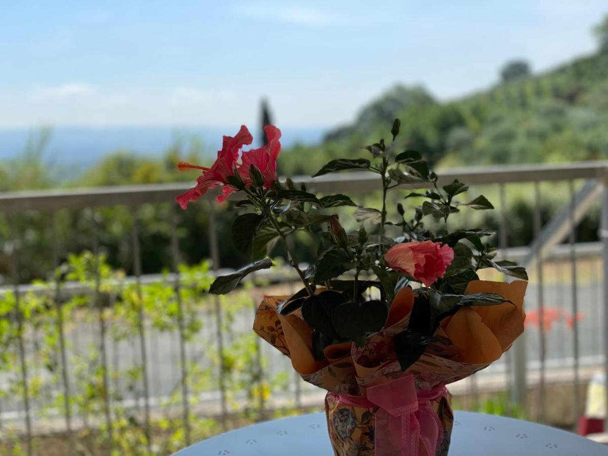 A Casa Di Silvia Lejlighed Gambassi Terme Eksteriør billede